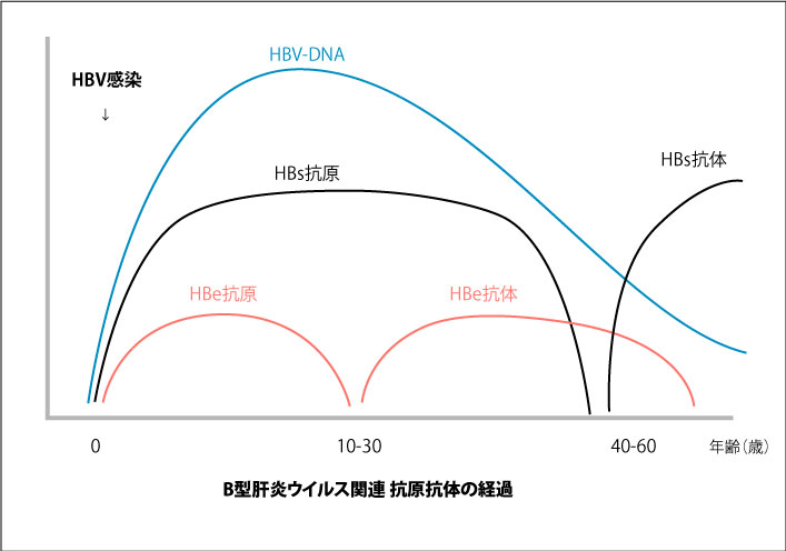 抗原 hbs